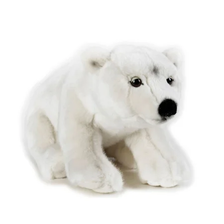 National Geographic bamse, isbjørn