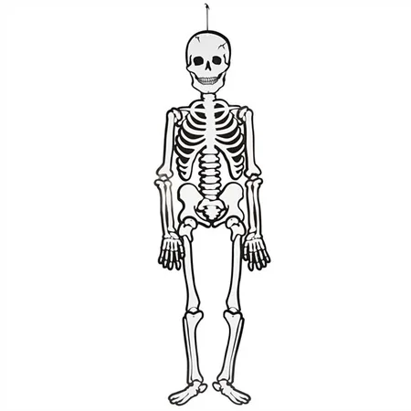 CC Hobby skelet