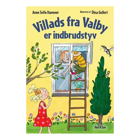 Villads fra Valby er indbrudstyv
