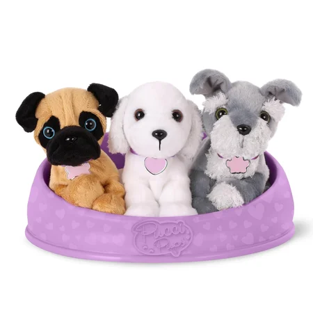 Pucci, Adopter en hund, lilla kurv