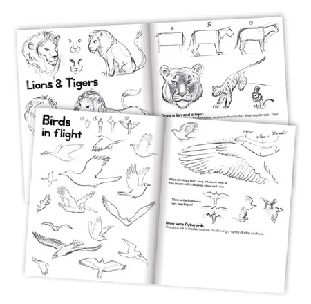 Bog, Lær at tegne dyr