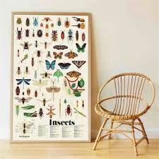 Poppik klistermærke plakat, Insects