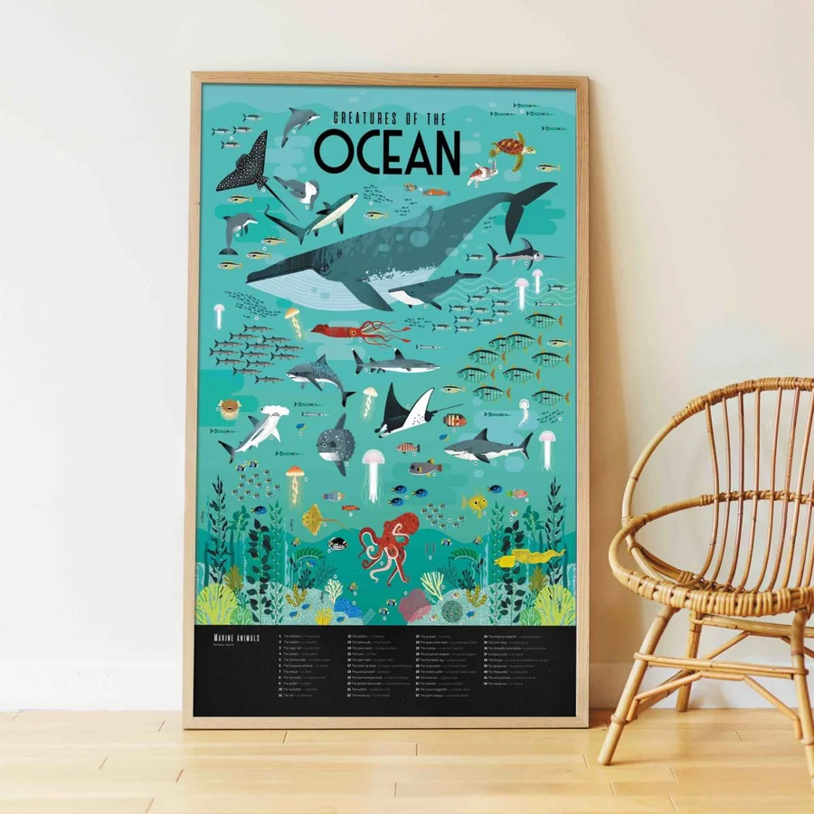 Poppik klistermærke plakat, Oceans