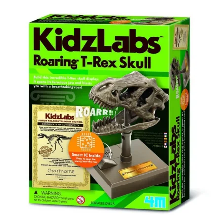 4M KidzLabs, Roaring T-Rex skull