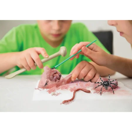 4M KidzLabs, Creepy Crawling Digging Kit