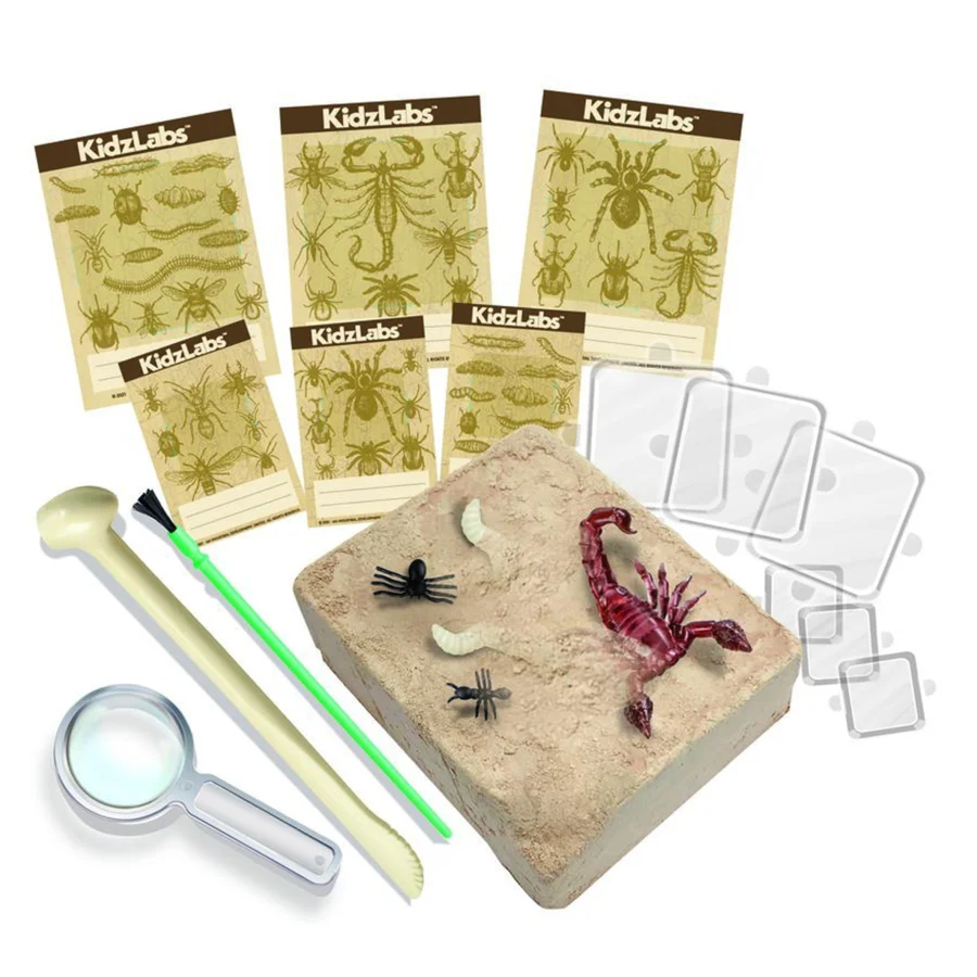 4M KidzLabs, Creepy Crawling Digging Kit