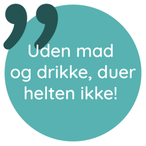 CMS billede alt tekst