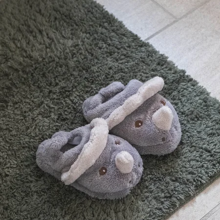 That's Mine Miles slippers, dino