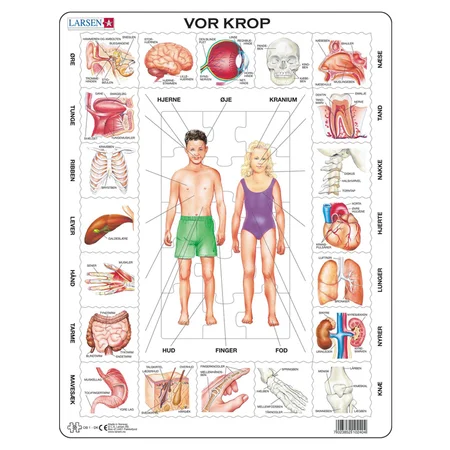 Larsen Puslespil, Vores krop - 35 brikker