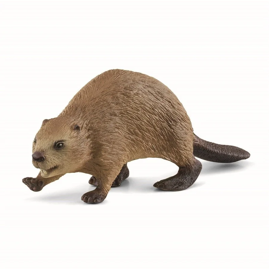 Schleich bæver