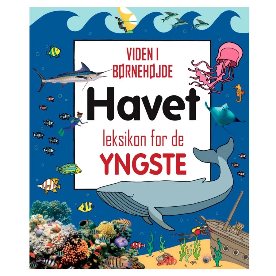 Havet - leksikon for de yngste