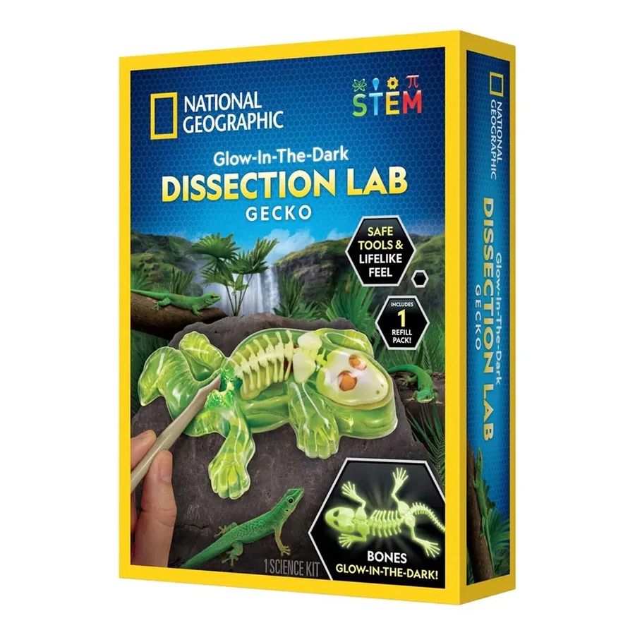 National Geographic Gekko dissektion lab