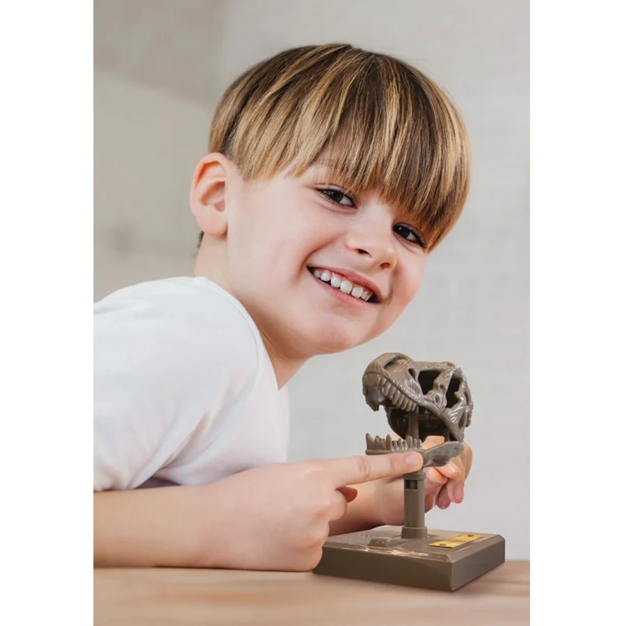 4M KidzLabs, Roaring T-Rex skull