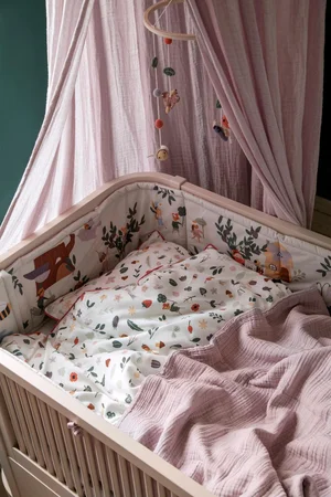 Sebra sengerand, Pixie Land