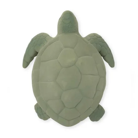 Konges Sløjd bidering, turtle