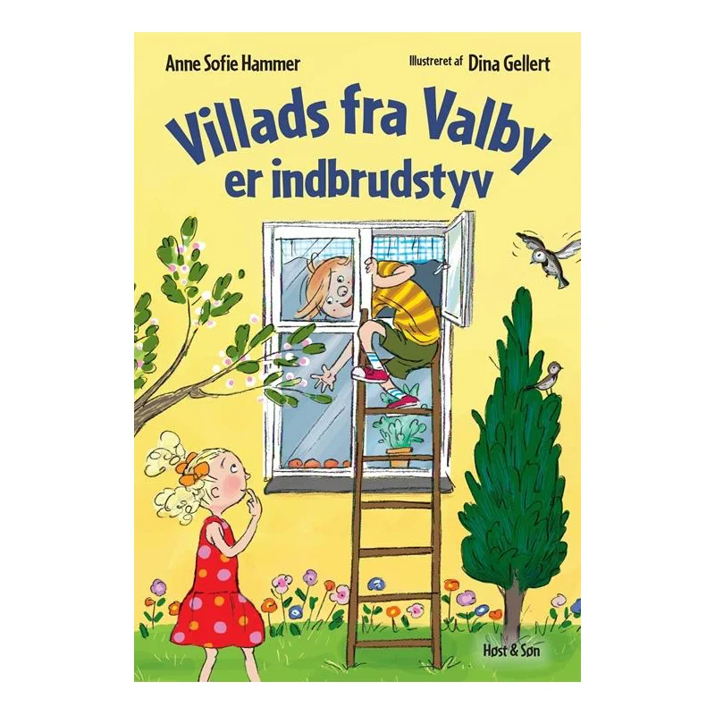Villads fra Valby er indbrudstyv