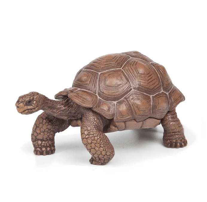 Galapagos skildpadde