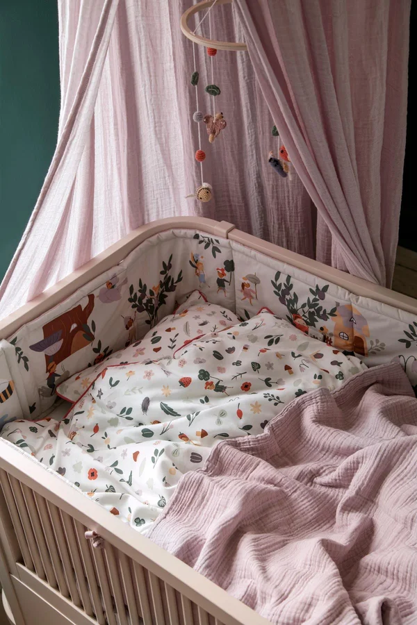 Sebra sengerand, Pixie Land