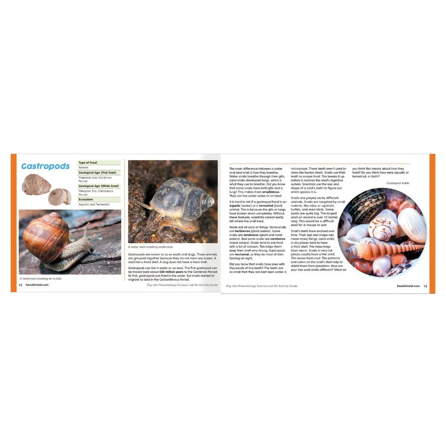 Learning Resources udgravningssæt, fossiler