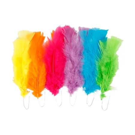 18 Bunte Federn