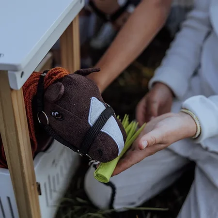by Astrup Pferdestall für kleine Pferde