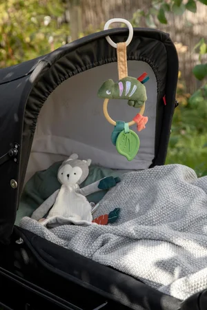 Sebra aktivitetsring til ophæng, Kamæleonen Carley