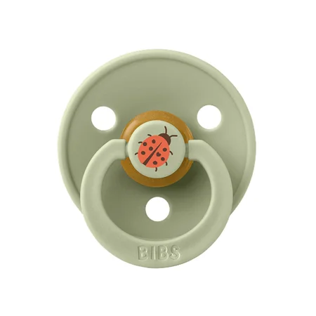 BIBS Studio Colour Schnuller Gr. 2 - Ladybug Sage