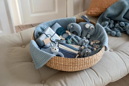 Sebra bidering, Fanto - nordic blue