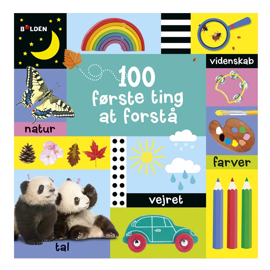 100 første ting at forstå