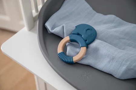 Sebra bidering, Fanto - nordic blue