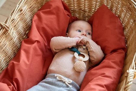 Sebra aktivitetsrangle, Bjørnen Milo