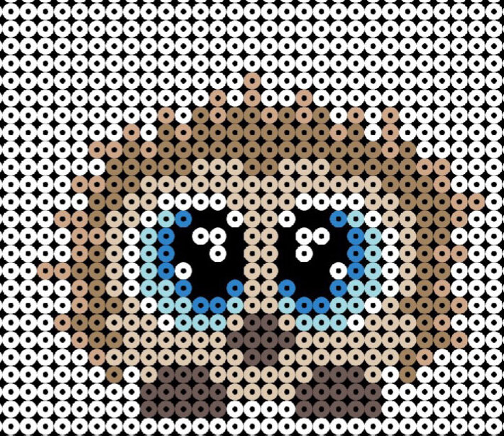 CMS Bild Alt Text