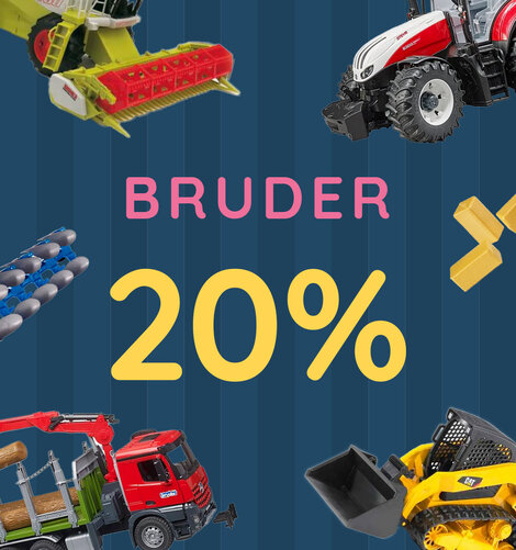 Bild Alt Text