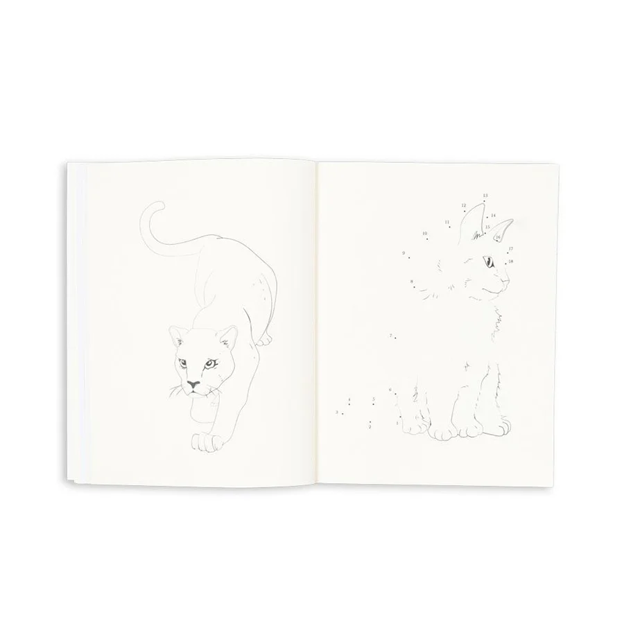 Konges Sløjd Aktivitätsbuch mit Buntstiften