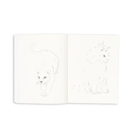 Konges Sløjd Aktivitätsbuch mit Buntstiften