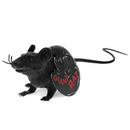 Scary Ratte