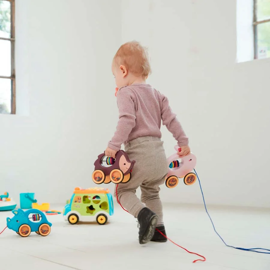 SBP Kaninchen auf Rädern