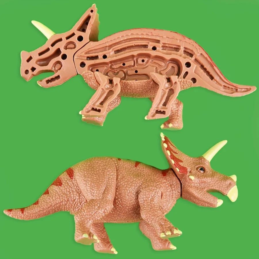 Robetoy Dinosaurier-Anatomie-Puzzle