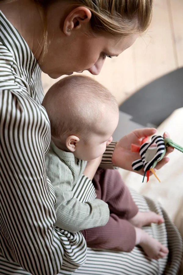 Sebra aktivitetsrangle, sort/hvid