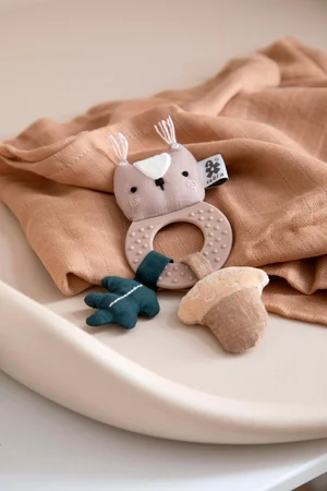 Sebra aktivitetsrangle, Egernet Zappy