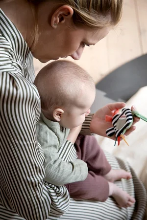 Sebra aktivitetsrangle, sort/hvid