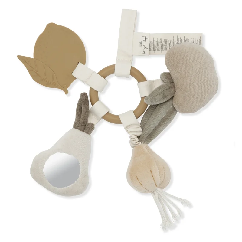 Konges Sløjd aktivitets-ring, frugter