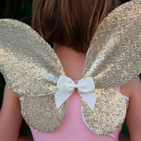 Great Pretenders Set aus Pailettenrock, Flügeln und Zauberstab (4-6J)