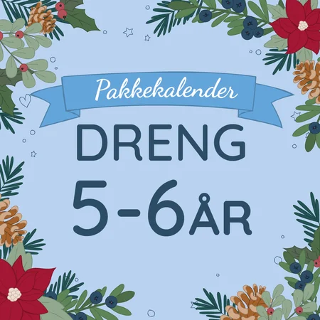 Pakkekalender 24 gaver, dreng 5-6 år