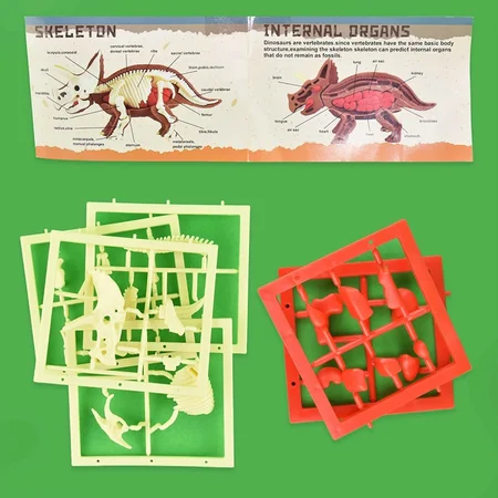 Robetoy Dinosaurier-Anatomie-Puzzle