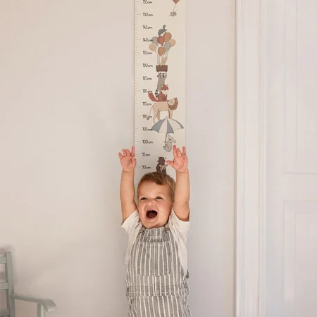 Sebra Höhenmesser, World of Sebra