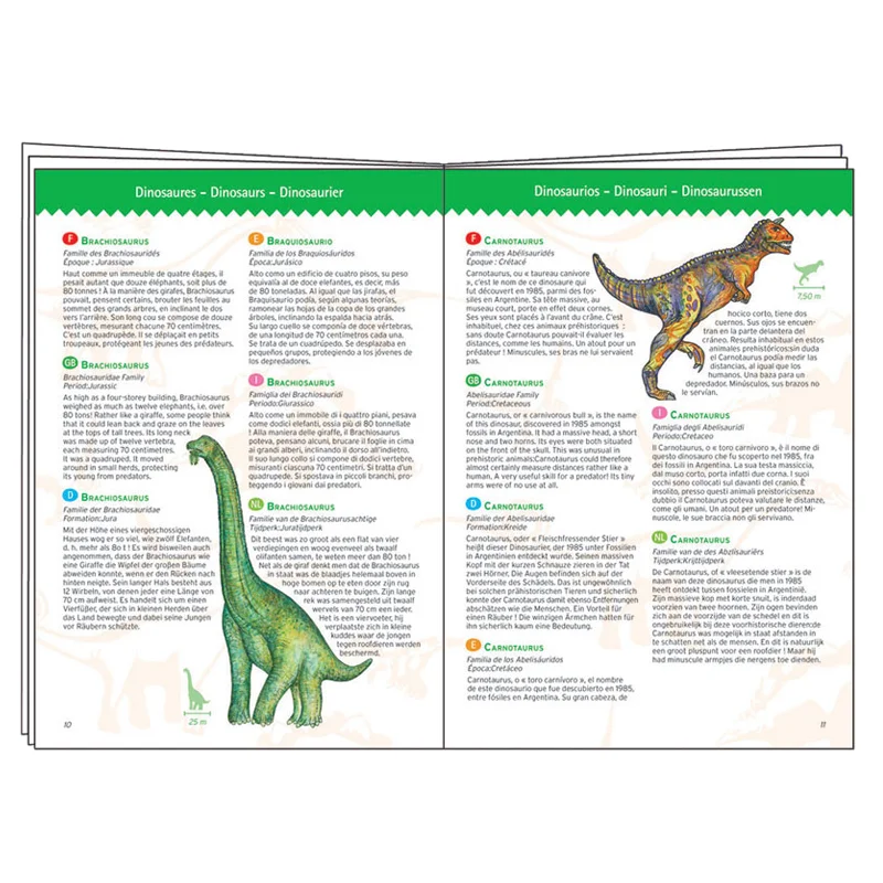 Djeco Bodenpuzzle und Heft, Dinosaurier - 100 Teile