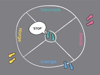 CMS billede alt tekst