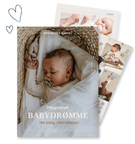 CMS billede alt tekst