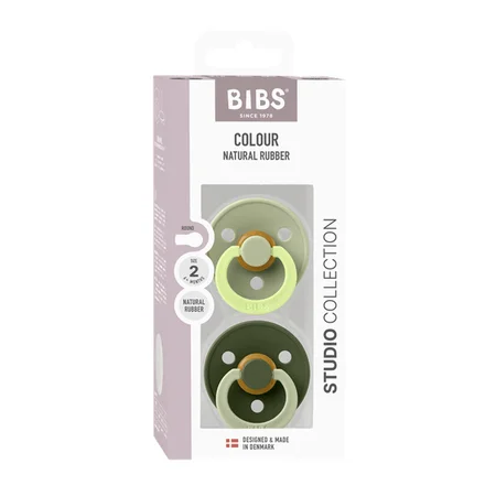 BIBS Colour Studio Fusion 2er-Pack Schnuller Größe 2, Sage & Huntergreen